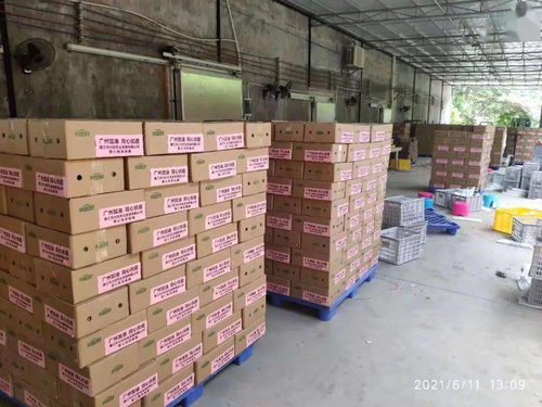 加油 廉江爱心捐赠近万箱农产品已抵达抗疫防疫第一线