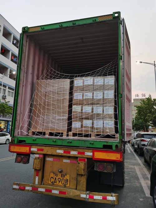 安新如何操作酒精消毒湿巾等危险品出口商检德国货运公司象诚