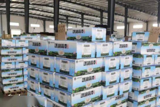 热干面撑炸酱面 武汉医疗队驰援北京 一起到的还有352吨湖北农产品